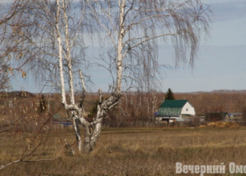 Фото: Владимир Казионов