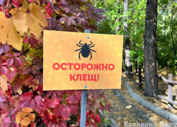 Фото: Ксения Угланова