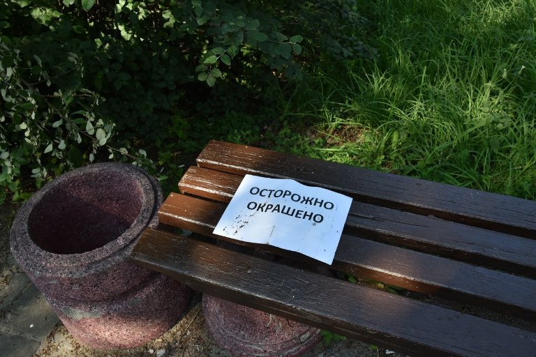 В Омске началась подготовка территории для проведения выставки "Флора"