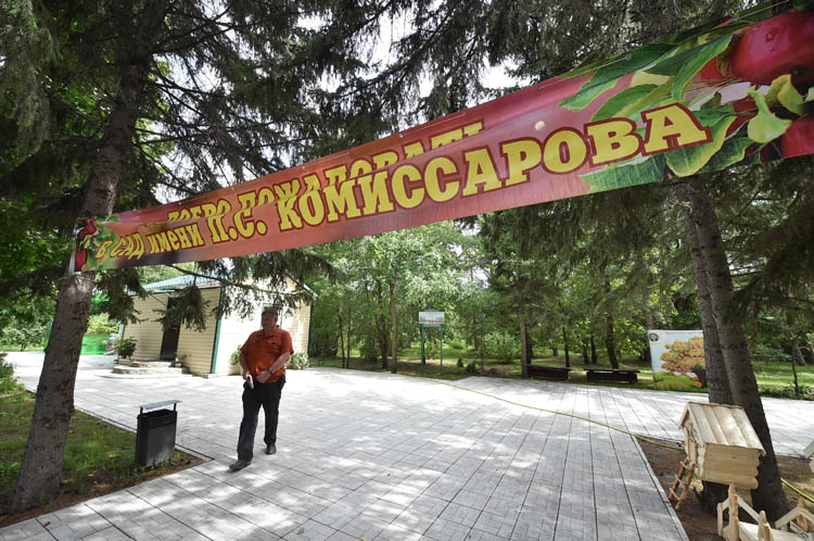 Памятник настойчивости: где на берегу Иртыша под Омском есть дендропарк и откуда он там появился