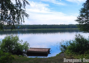 Студенты омского вуза отправятся в экспедицию в Муромцевский район Фото: архив "ВО"