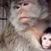 Фото: vk.com/bol_zoo