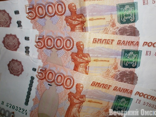 В Омской области продают 53-летний французский самолет Фото: Вадим Дитковский