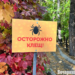 Фото: Ксения Угланова