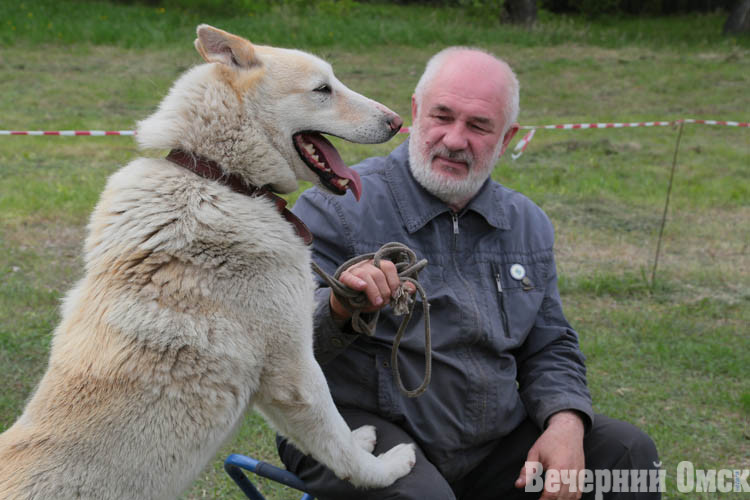 Не только борзые и легавые, но и эпаньоль и выжла. Такие породы были представлены на областной выставке охотничьих собак