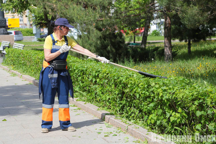 В городских скверах и других зеленых территориях активно косят траву