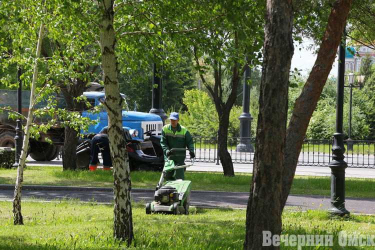 В городских скверах и других зеленых территориях активно косят траву