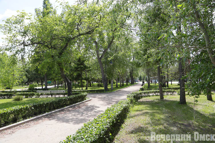 В городских скверах и других зеленых территориях активно косят траву