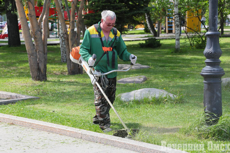 В городских скверах и других зеленых территориях активно косят траву