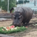 Фото предоставлено Минкультом Омской области