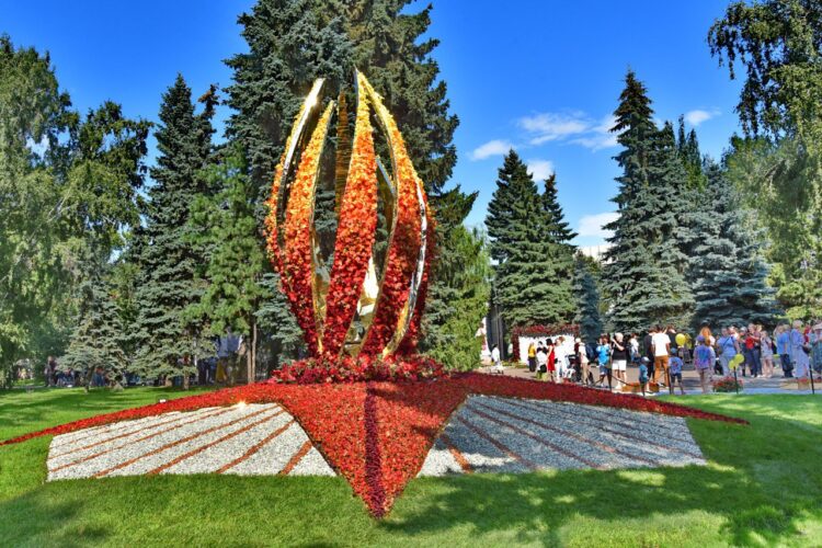 Флора, рыцарские бои и концерт Клавы Коки: куда сходить в Омске в ближайшие выходные и на День города и области