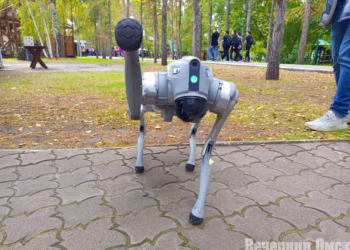 Робопес, яблоки Франкенштейна и поющие цветы: в Омске прошел OM FEST 2025 Фото: Анастасия Пузикова