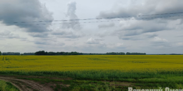 Фото: Татьяна Попова