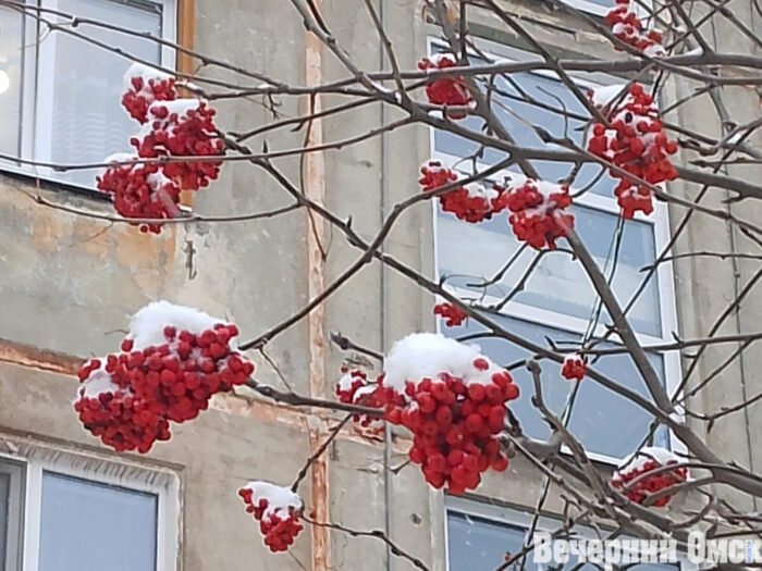 В Омске идет снег