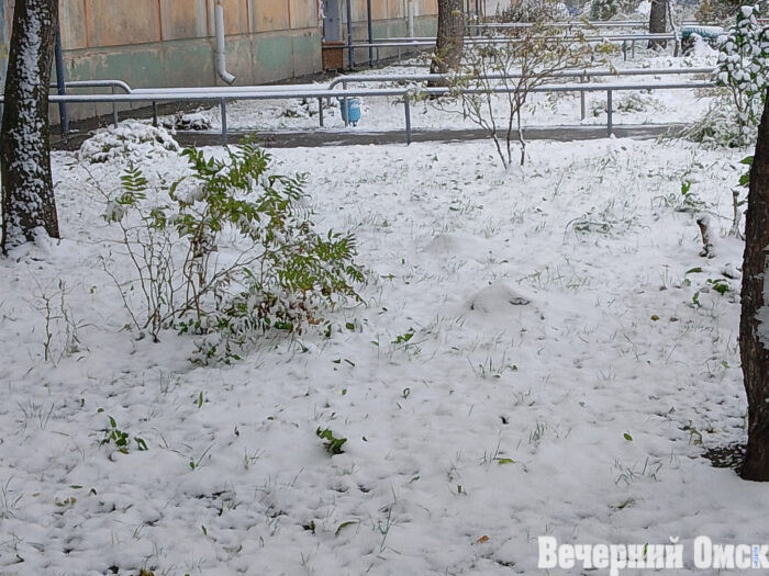 В Омске идет снег