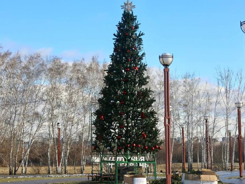 В «Птичьей гавани» начали устанавливать новогоднюю елку Фото: минприроды