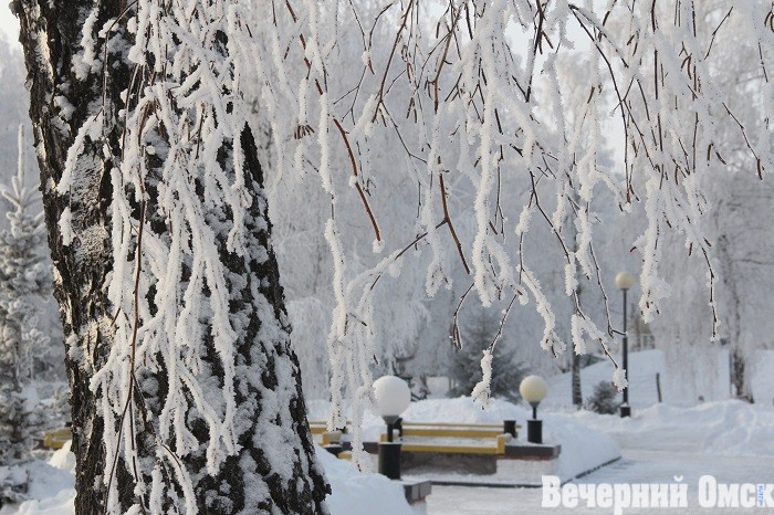 После тёплых выходных в Омске начнется похолодание Фото: Владимир Казионов