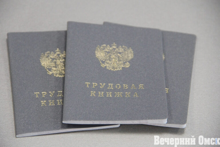 Перед "Черной пятницей" в Омске вырос спрос на услуги подсобных рабочих Фото: Владимир Казионов