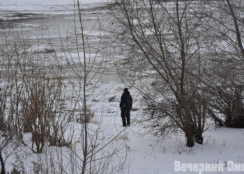 Фото: Сергей Сапоцкий