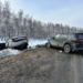 Фото предоставлено УМВД России по Омской области