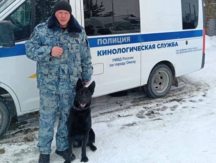 Служебная овчарка Никитá вывела омских полицейских на след вора Фото: УМВД России по Омской области