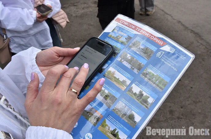 Омичи выбирают объекты для благоустройства