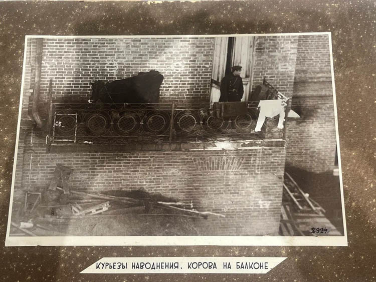 «Омск – необыкновенный город»: выставка с таким названием открылась в краеведческом музее