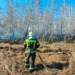 В Омской области установлен третий класс пожарной опасности Фото: ГУ МЧС России по Омской области