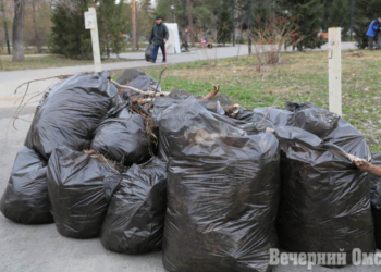 Фото: Сергей Сапоцкий