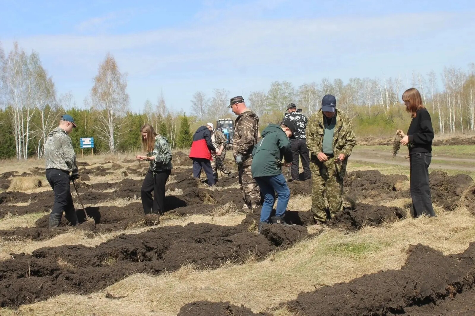 В омских районах зазеленели «Сады памяти» Фото: ГУЛХ, школьные лесничества