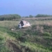 В Калачинском районе «Лада» врезалась в скорую помощь, погиб медбрат Фото: Госавтоинспекция Омской области