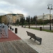 Омичам рассказали, как сделать больше любимых мест для прогулок Фото: управление пресс-службы губернатора и правительства Омской области