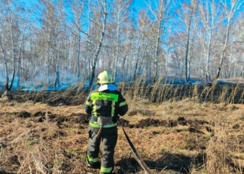 Фото: ГУ МЧС России по Омской области
