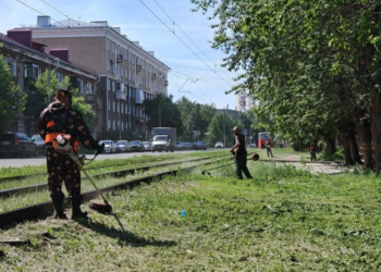 Фото предоставлено администрацией Омска