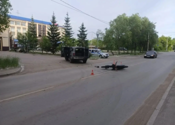 Фото предоставлено УМВД России по Омской области