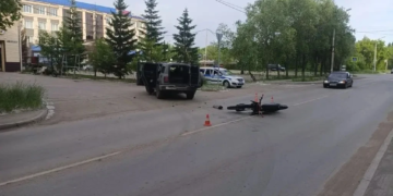 Фото предоставлено УМВД России по Омской области