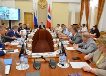 Фото предоставлено правительством Омской области