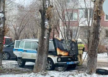 Фото предоставлено СУ СК по Омской области