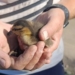 Омские дорожники спасли утёнка из ливнёвки по просьбе горожанки Фото: мэр Омска Сергей Шелест