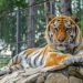 Фото: Большереченский зоопарк