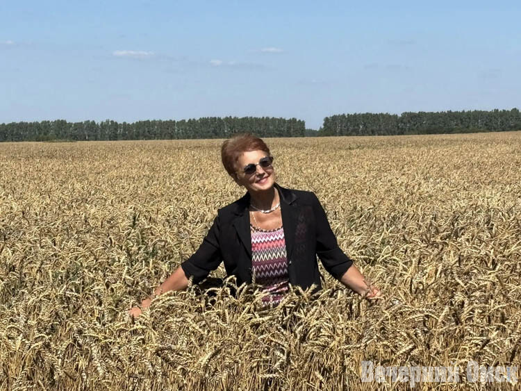 36 дней - и курица готова: как в Омской области выращивают мясо и собирают рекордный урожай