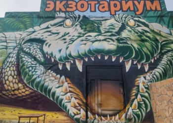 Фото: миникульт Омской области