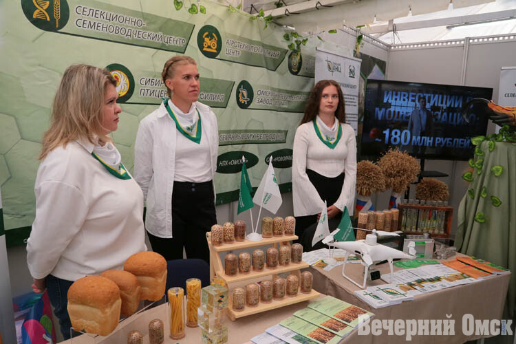 «АгроОмск-2026»: чем сегодня живёт омское село