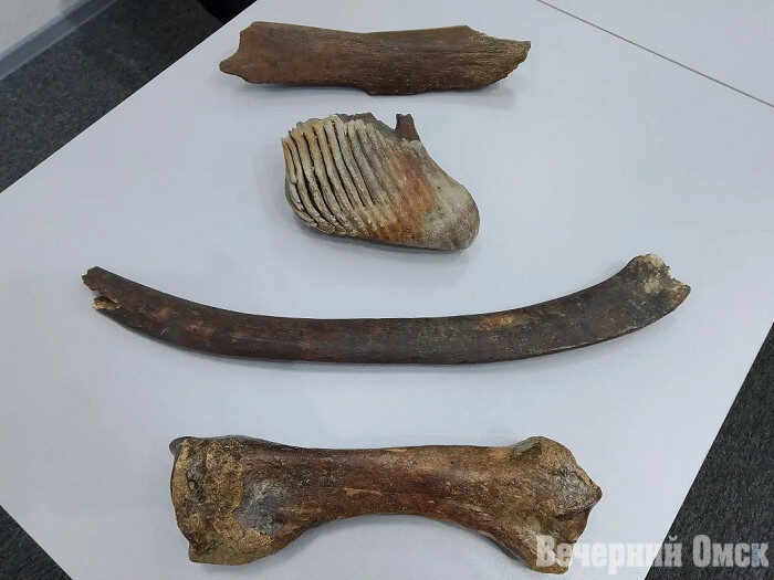 В Омске ставят мюзикл «Дом Усть-Ишимского Человека»