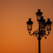 Фото: magnific