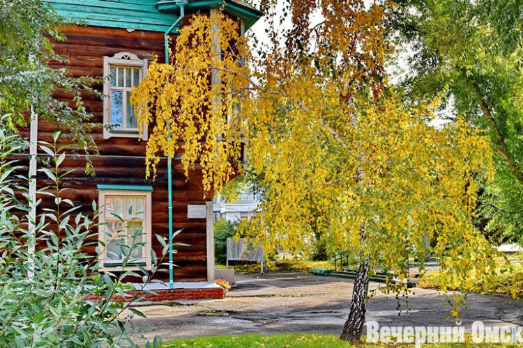 В начале октября погода продолжит радовать омичей теплом Фото: Сергей Сапоцкий