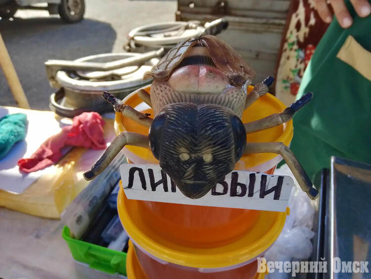 Вкусно, удобно и безопасно: каждую пятницу на Советском рынке проходят губернские ярмарки