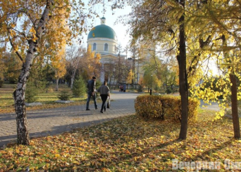 Фото: Владимир Казионов