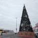 В Омске у ТЦ «Континент» установили первую новогоднюю ель Фото: max.ru/omsk_putevoditel