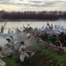 В Омской крепости развернулась масштабная военно-историческая реконструкция Фото: управление пресс-службы губернатора и правительства Омской области